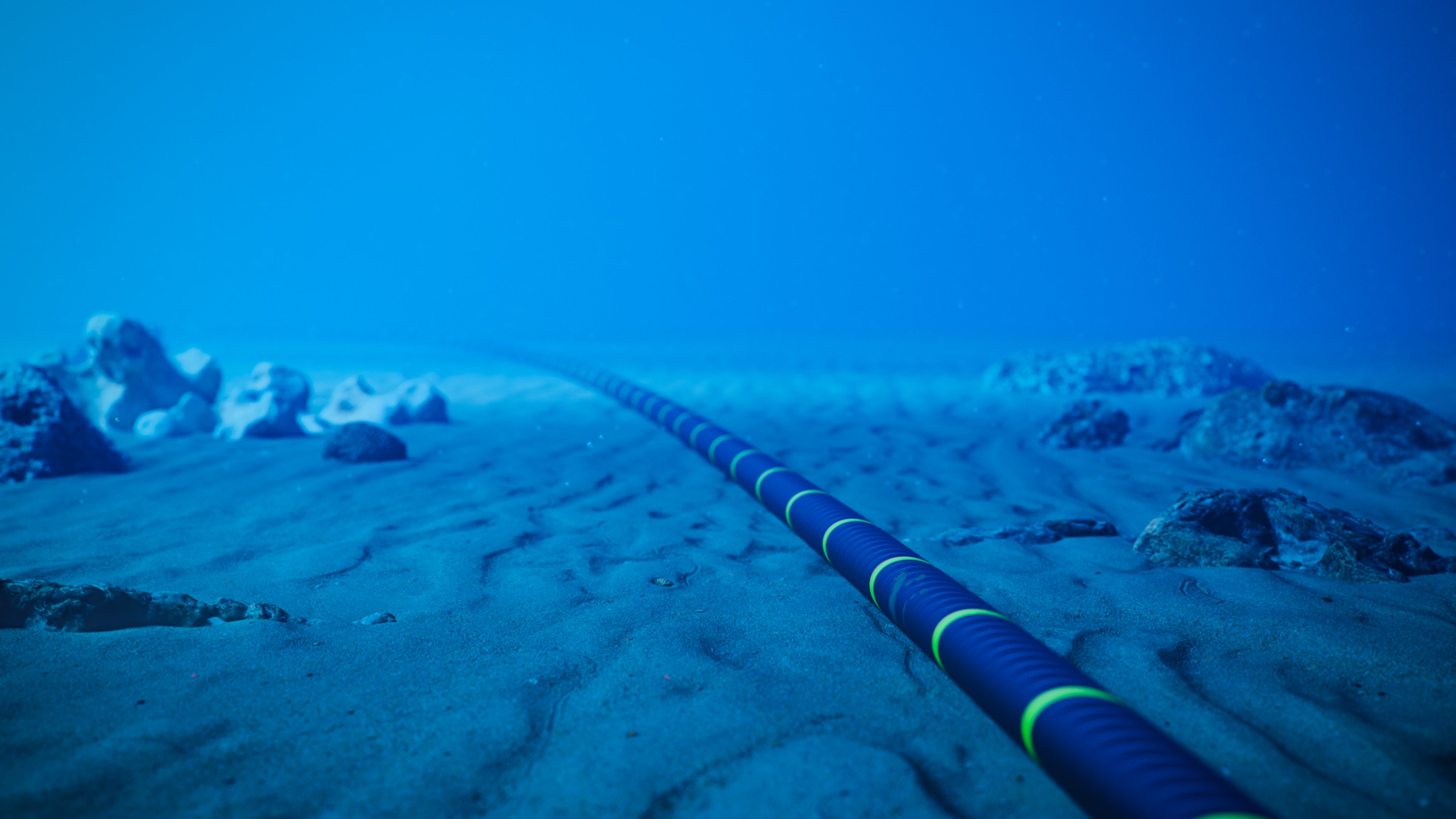A fiber optic cable and rocks on the ocean floor.