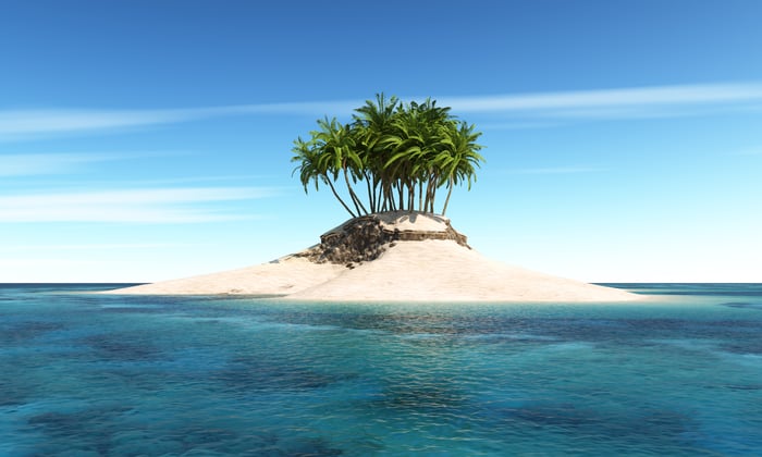 There are two palms on the small desert island.