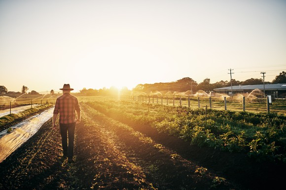 A farmer walking on a farm.