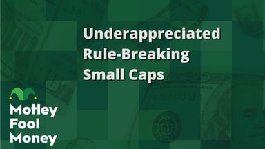 Underappreciated Rule-Breaking Small Caps