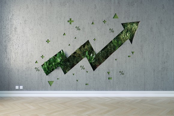 An upward-moving arrow made of green foliage sprouting through a grey wall.