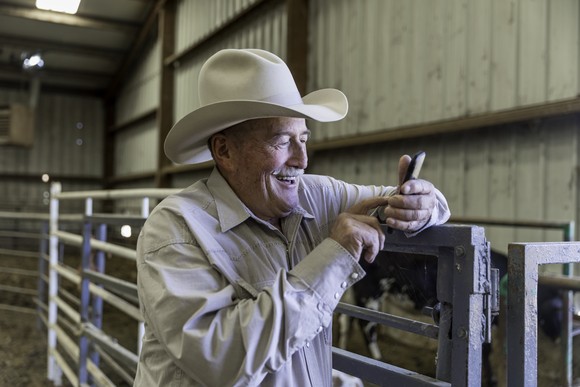 A person in a corral looking at a cellphone.
