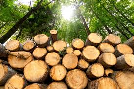 ishares-trust-ishares-global-timber-forestry-etf-wood-stock