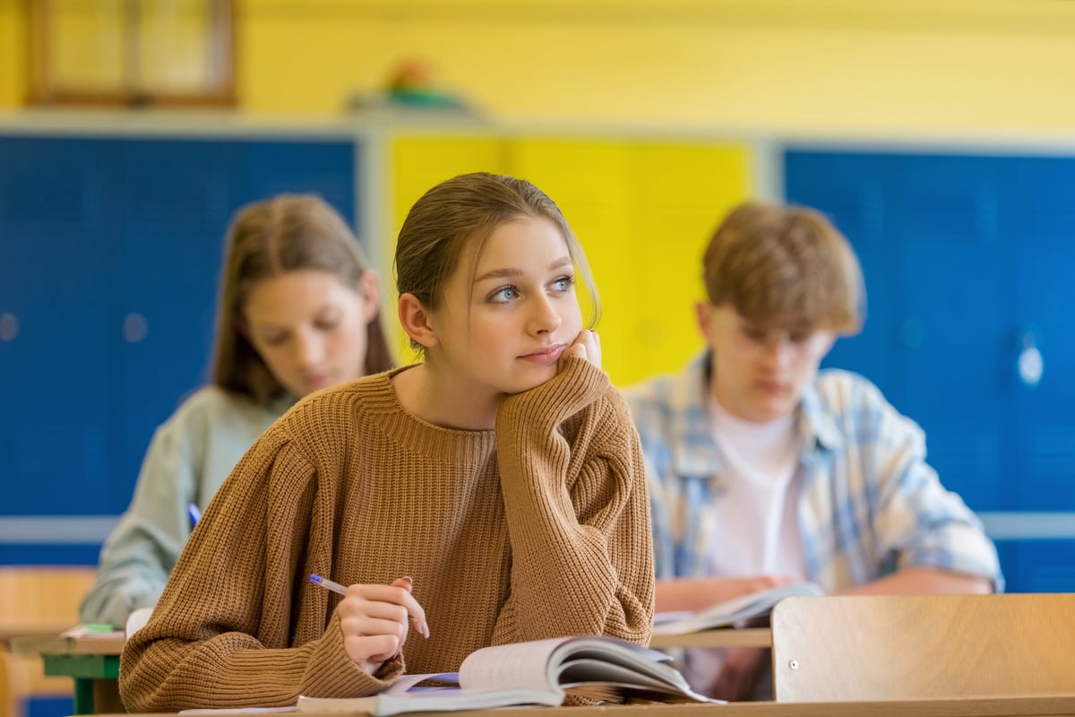 Students sit at desks in classroom.