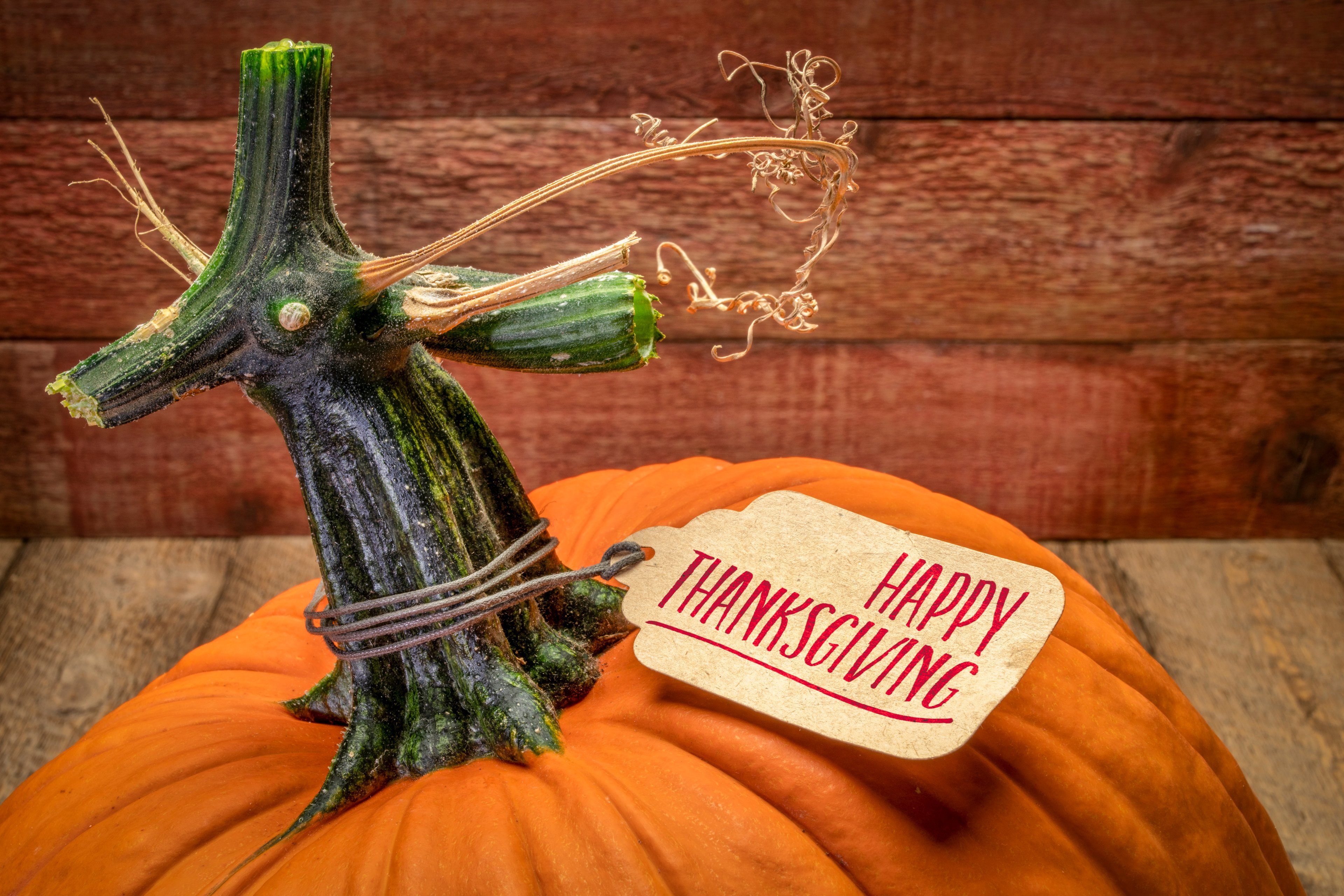 A pumpkin sits on a wooden surface, with a Happy Thanksgiving tag tied to its stem.