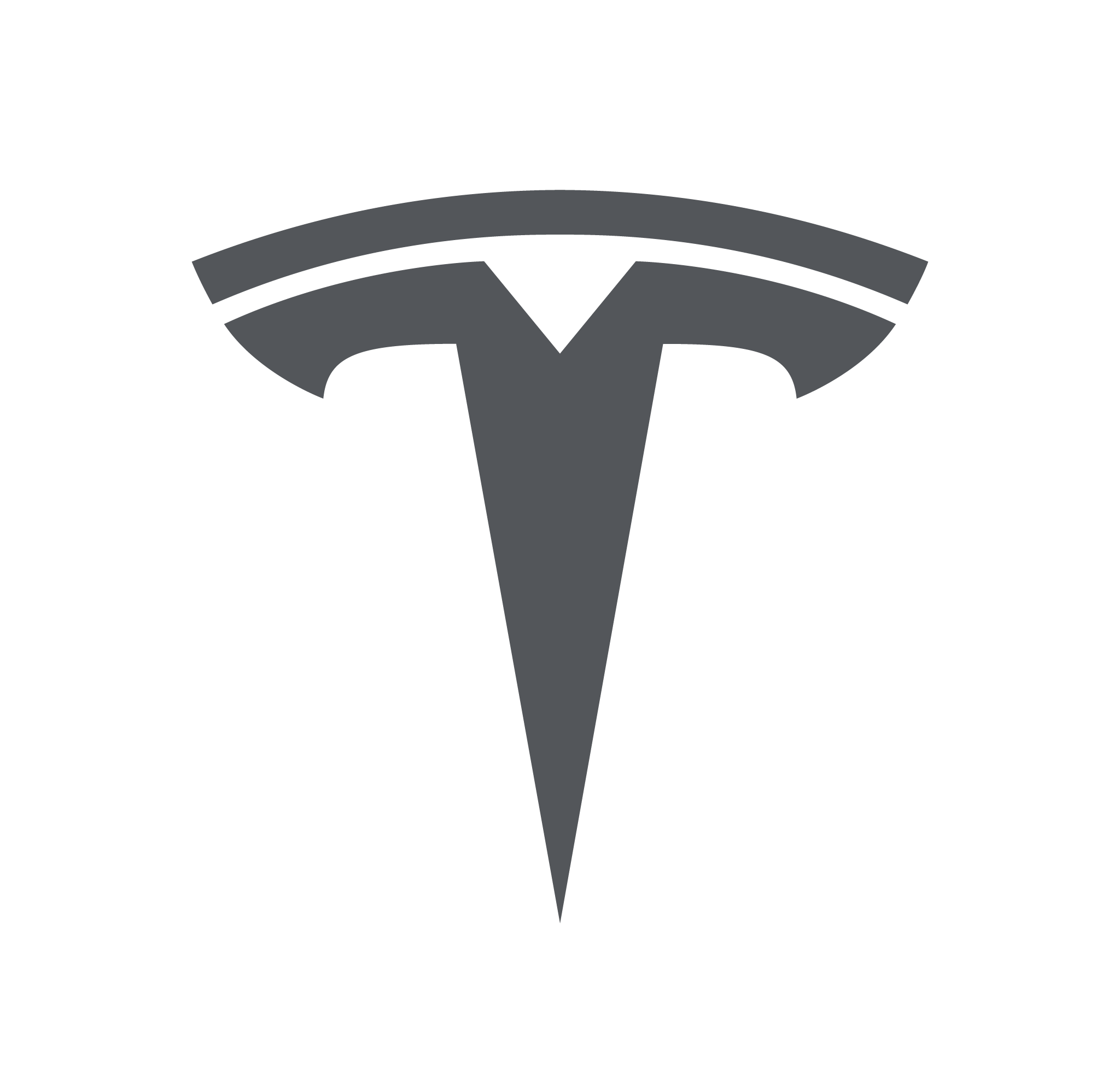 cool grey Tesla logo
