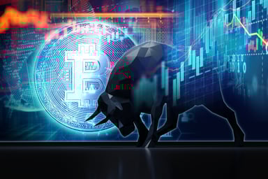 bitcoin bull