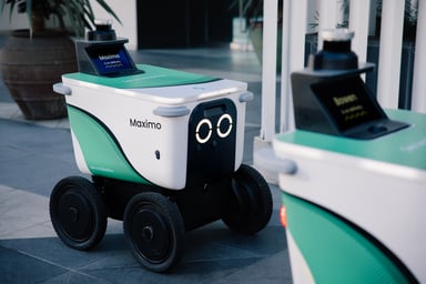 Serve delivery robots