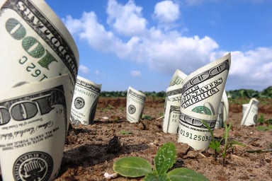 Getty - money growing in dirt cash dividends