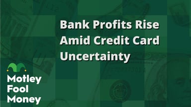 Bank Profits Rise Amid Credit Card Uncertainty