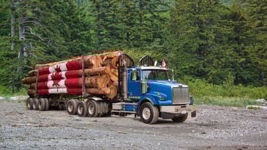 GettyImages-2184824111