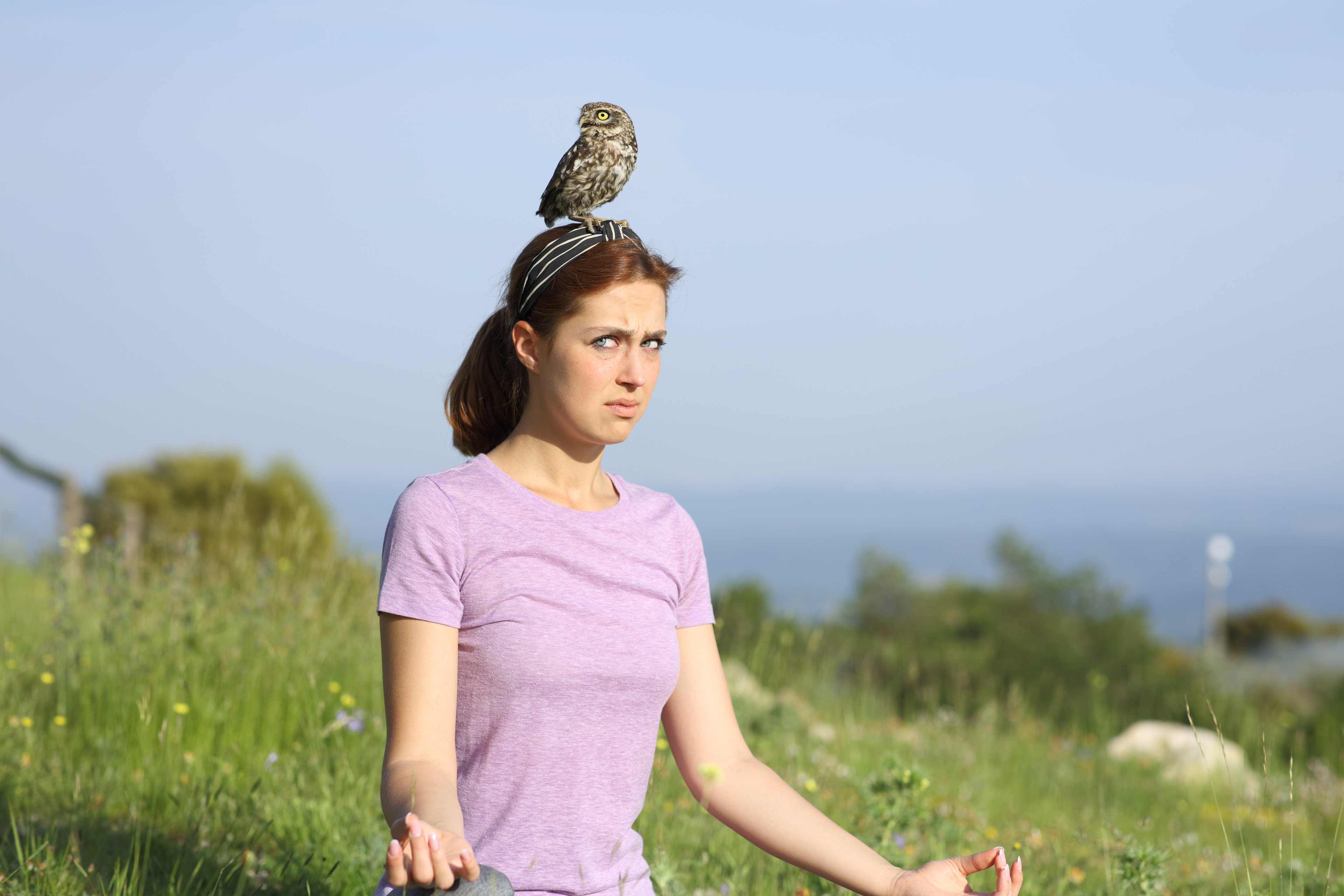 Scowling person balances owl on head 1398788706