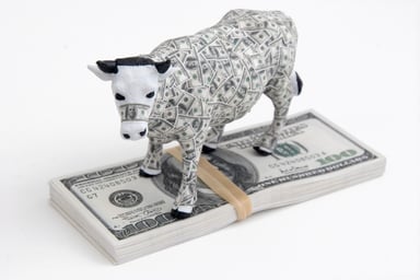 Bull on stack of money