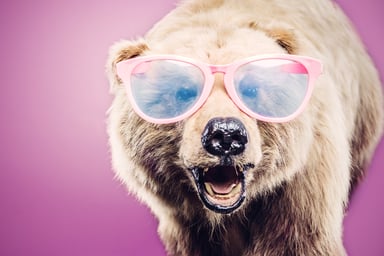 Bear with pink glasses