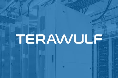 WULF TeraWulf logo blue
