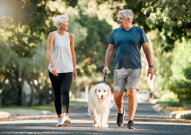 Smiling couple out for a walk with a dog