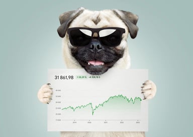 Dog sunglasses holding price chart