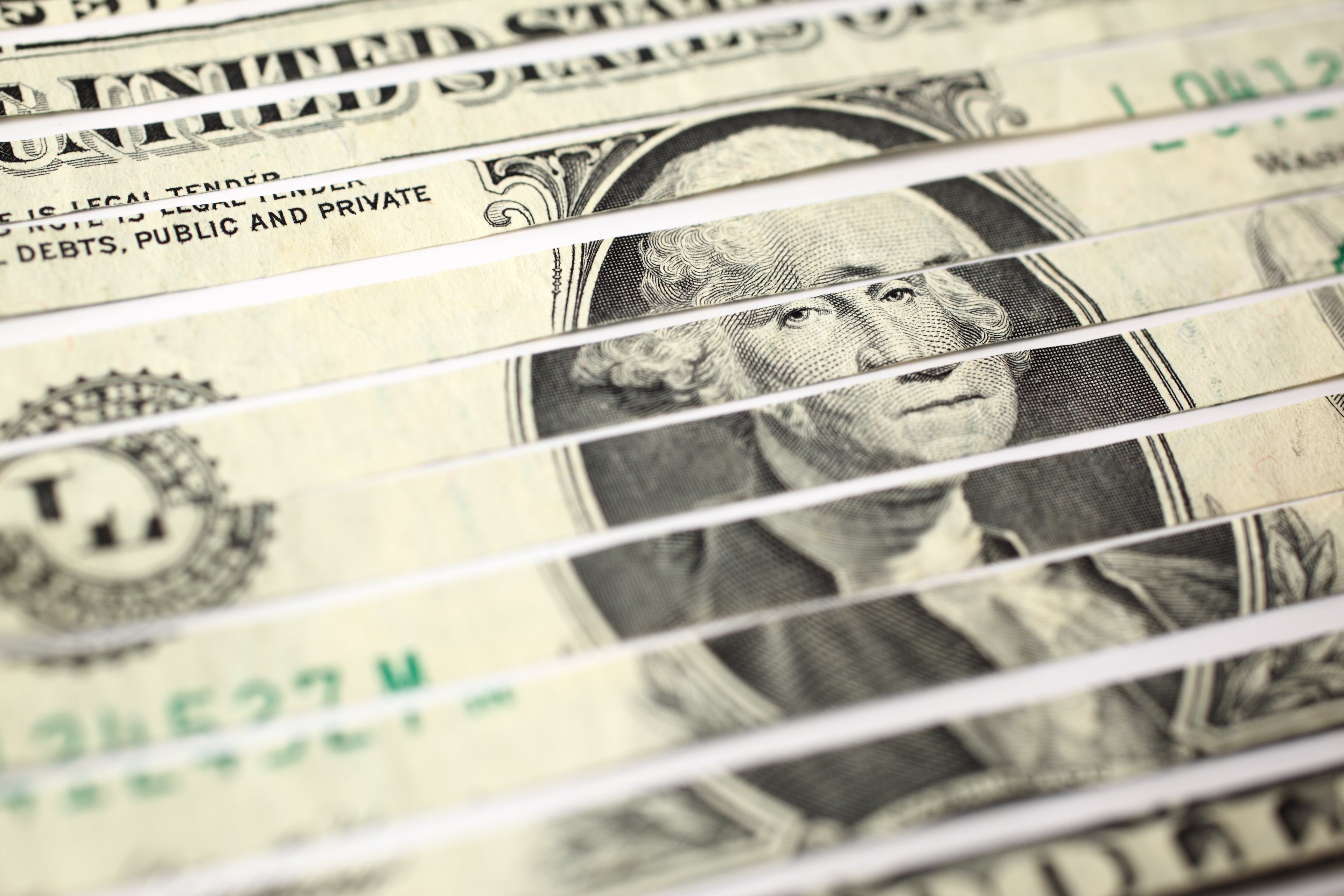 Dollar bill cut into strips.