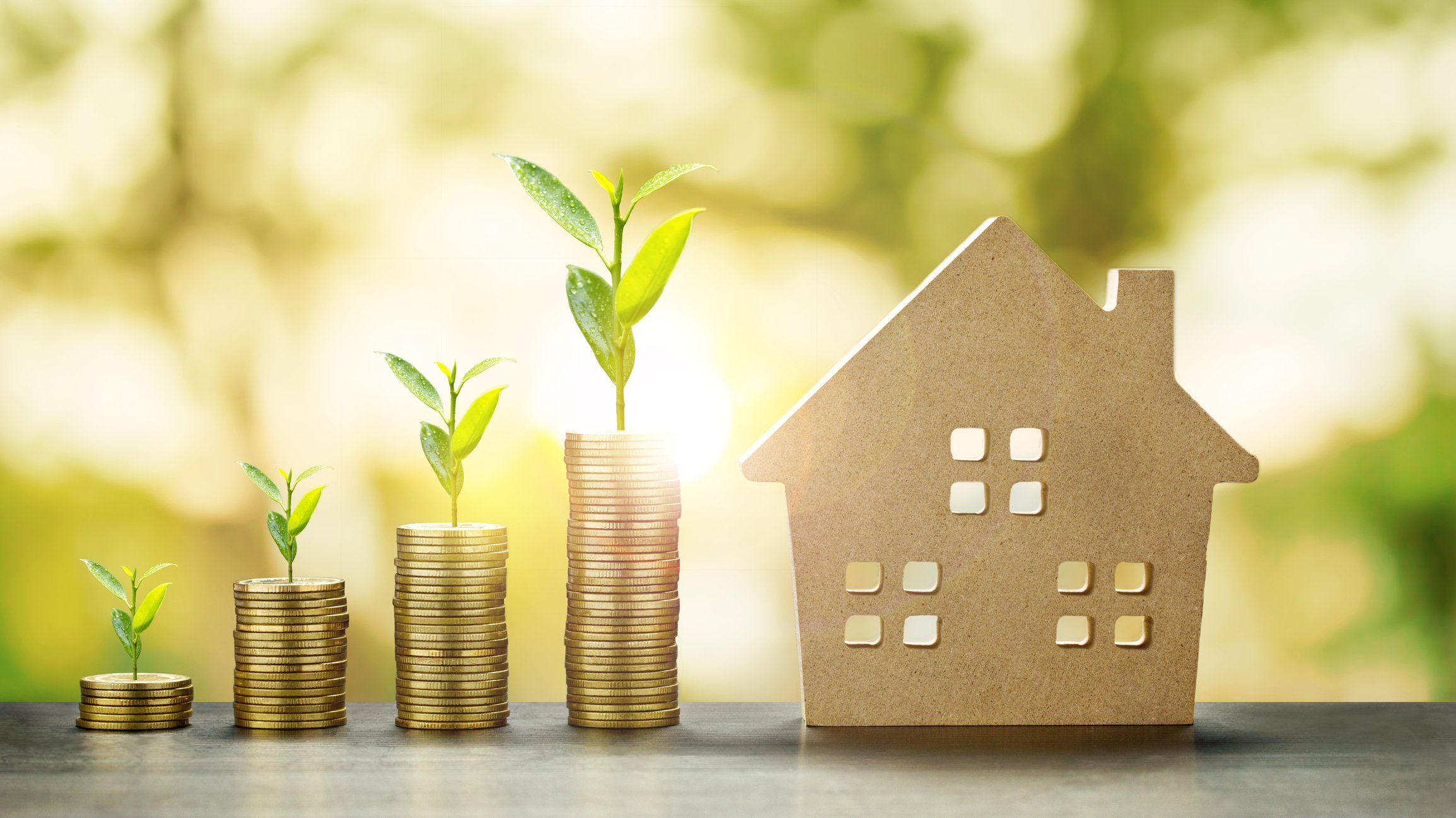 Seedlings sprouting from stacks of coins next to a cardboard house.