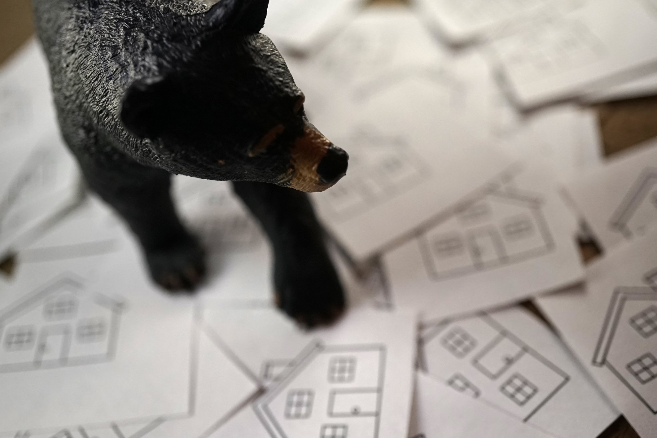 Bear figure on top of cards with houses on them.jpg
