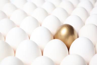 Gold egg among many regular eggs.jpg