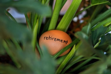a retirement egg in a nest
