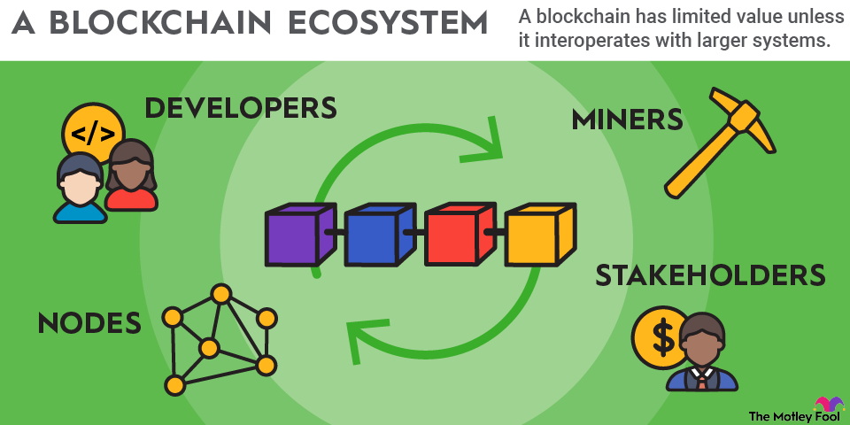 blockchain-ecosystem-infographic
