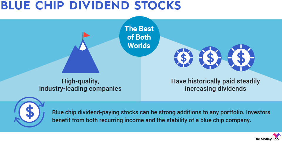 blue-chip-dividend-stocks-infographic