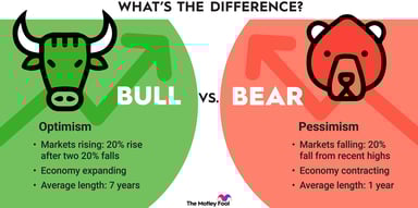 bull-vs-bear-market-infographic