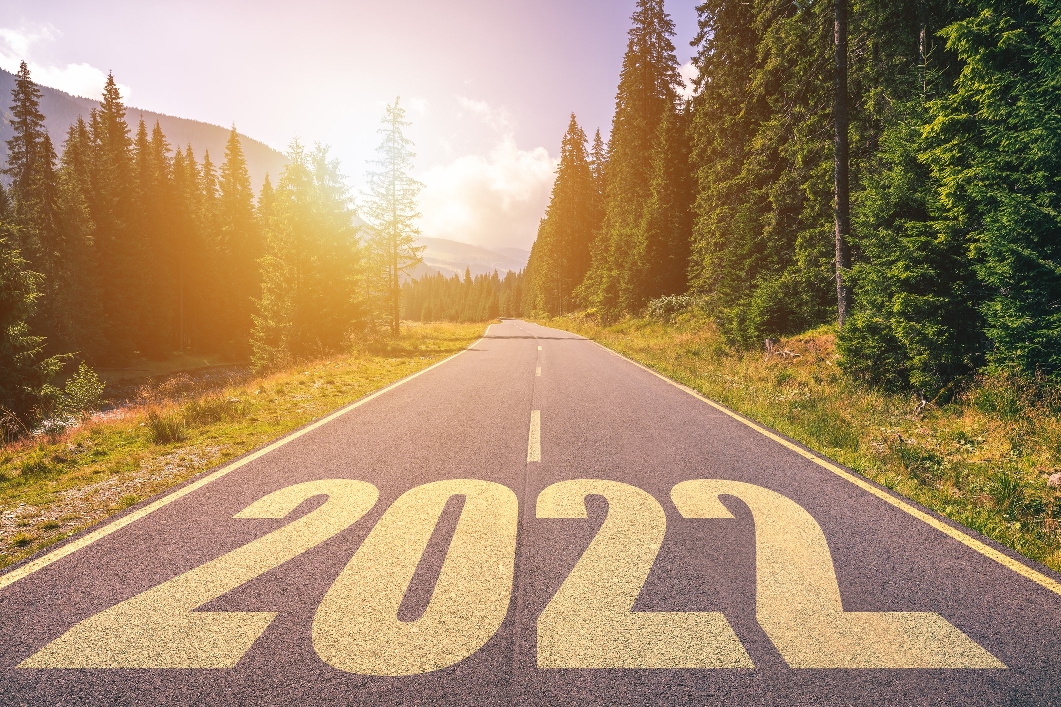 2022 written on a road through a forest.