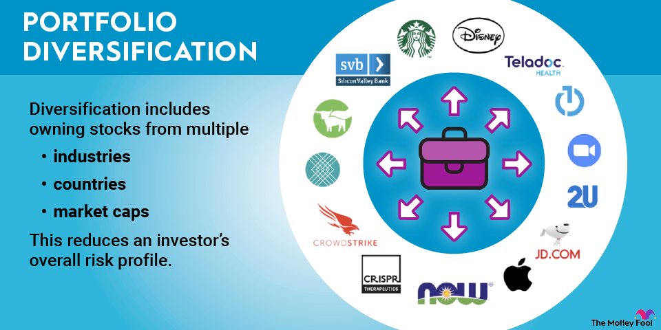 diversified-portfolio-example-infographic