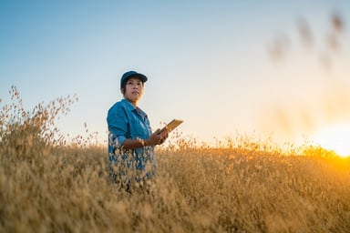 wheat_farmer_in_the_field