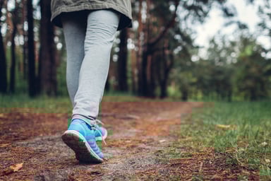 A hiker walking on a forest trail