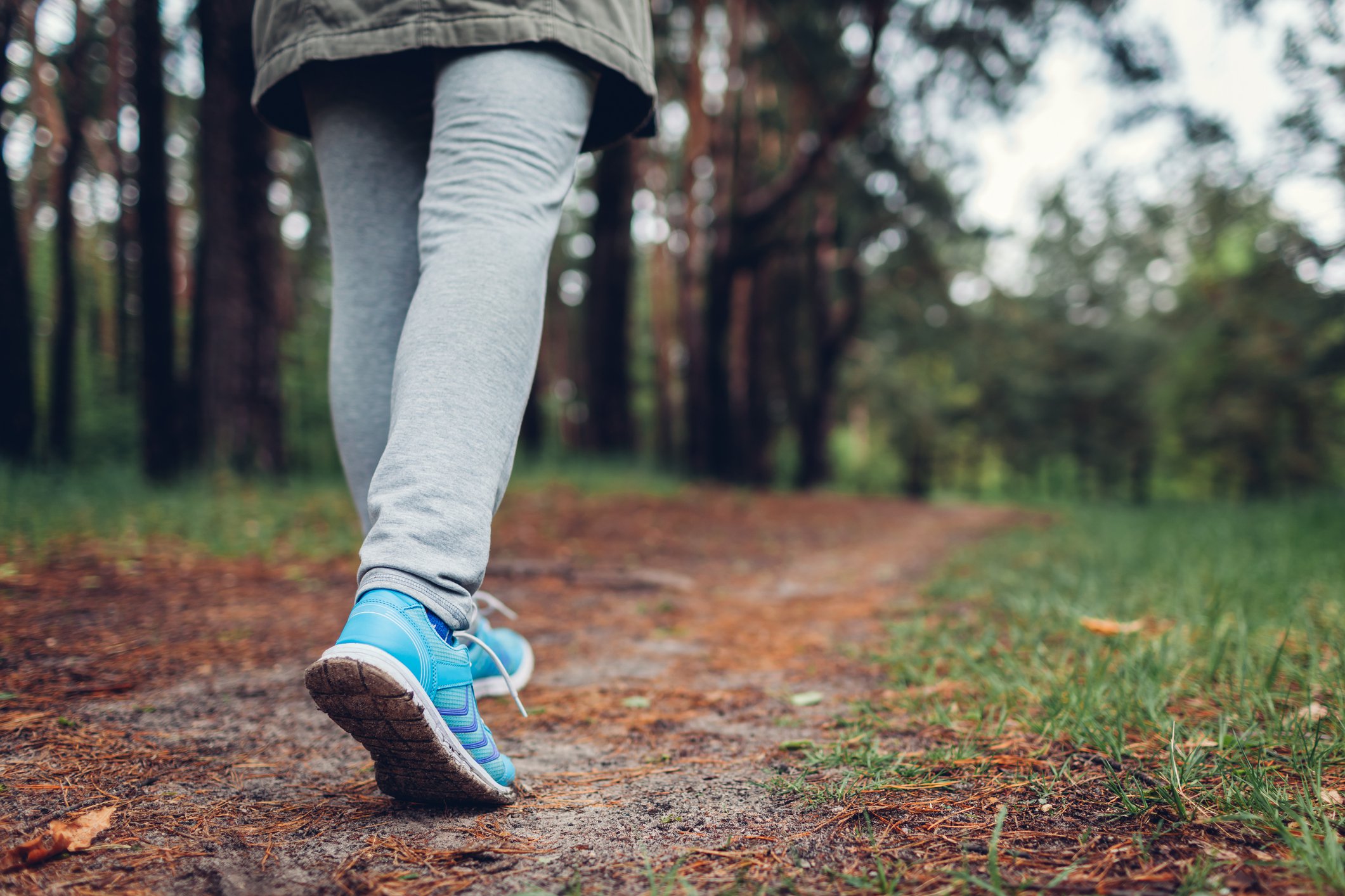 A hiker walking on a forest trail