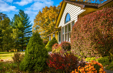 landscaping in front of a house