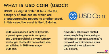 usd-coin-infographic