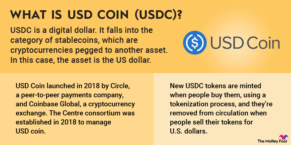 usd-coin-infographic