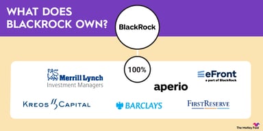 what-does-blackrock-own-infographic