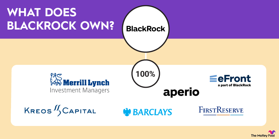 what-does-blackrock-own-infographic