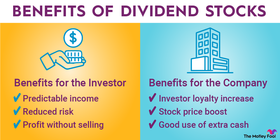 dividend-stocks-infographic