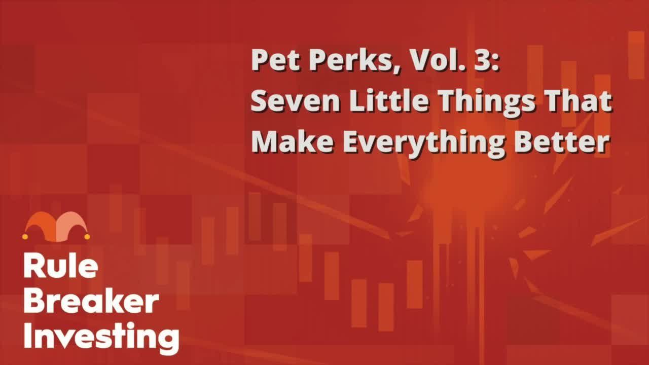 pet-perks-vol-3--seven-little-things-that-make-eve-thumbnail.jpeg
