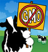 gmo-statement-blog