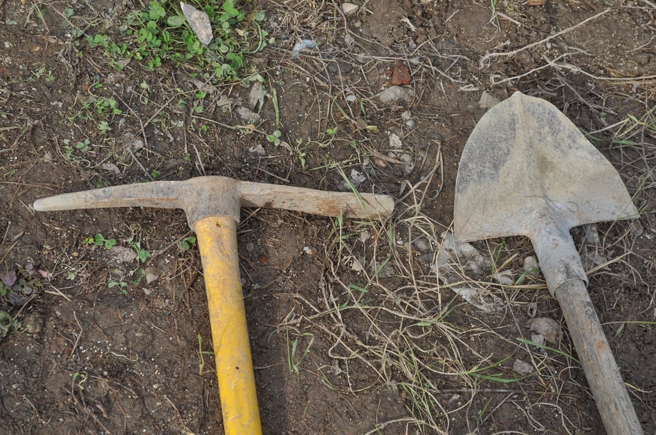 What Can Investors Learn From California S Gold Rush The Motley Fool