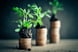 Plants Growing On Top of Coins Money Growth Getty