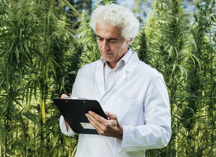 A scientist in a lab coat making notes in a marijuana grow field. 