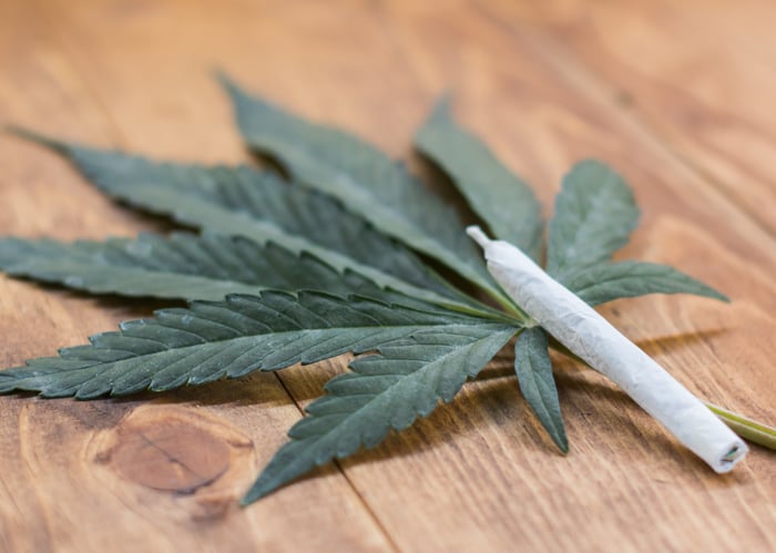 A cannabis joint atop a cannabis leaf on a table. 