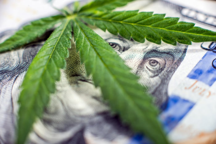 A cannabis leaf lying on a hundred dollar bill, covering most of Ben Franklin's face, save for his eyes. 