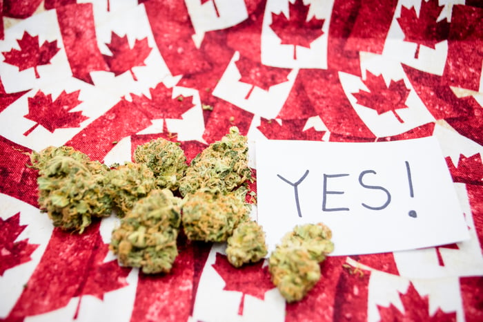 Dried cannabis buds next to a piece of paper that says yes, and atop miniature Canadian flags.