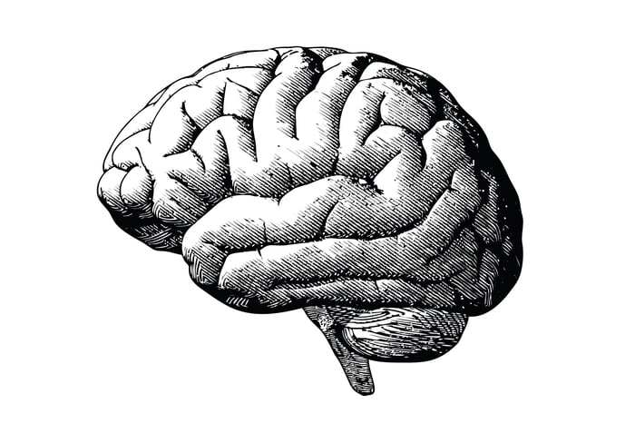 Engraving of a brain