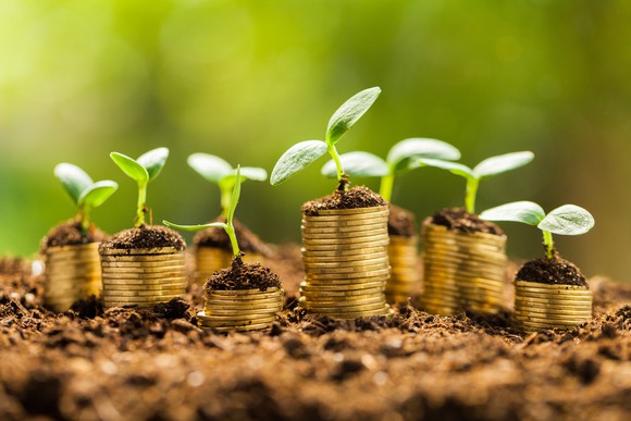 Coins with a small plant growing on them sitting in the dirt.